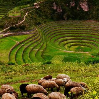Archaeological Center of Moray and Salineras